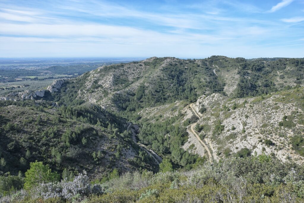 Photo prise des hauteurs d'un massif calcaire sous un ciel légèrement voilé. On distingue un chemin tracé dans un ravin. La végétation, en général basse et rocheuse, prend parfois la forme de grands arbres.