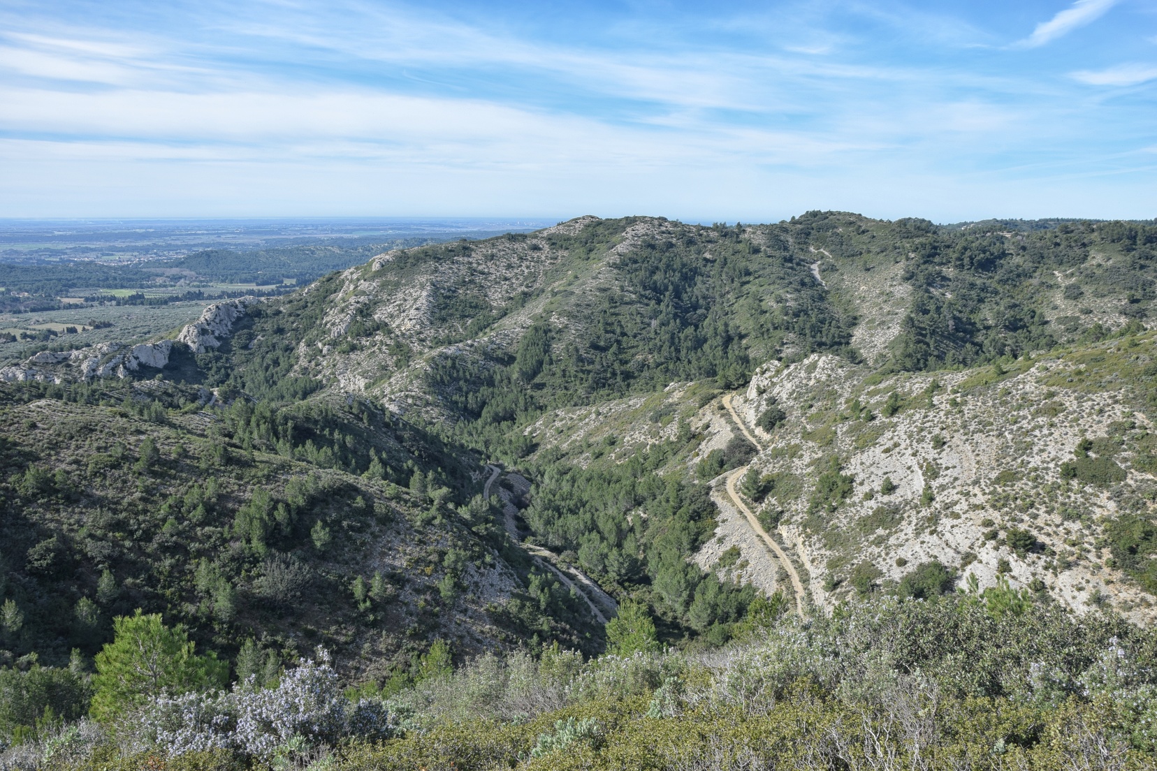 Sortie hivernale dans les Alpilles