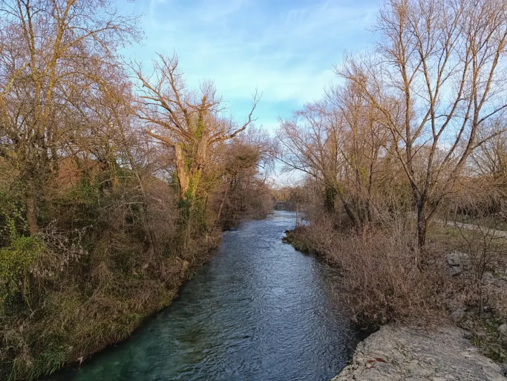 Un fleuve entre ses rives arborées. La végétation est en mode hivernal sous un ciel bleu légèrement voilé de fins nuages. Au premier plan, sur la droite de la photo, un imposant bloc de roche au bord de l'eau.