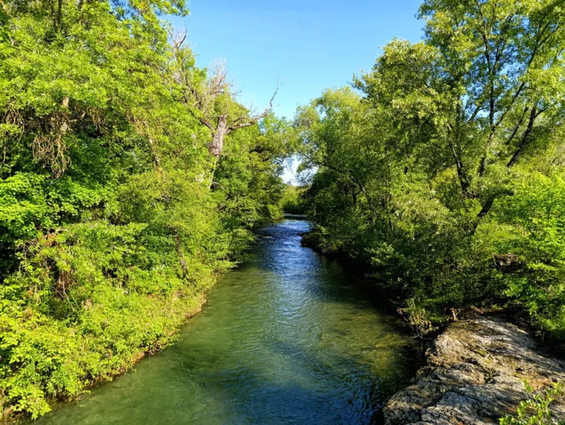 Un petit fleuve circule paisiblement entre ses rives arborées. Les feuilles des arbres sont bien vertes et le ciel, au-dessus, bien bleu.