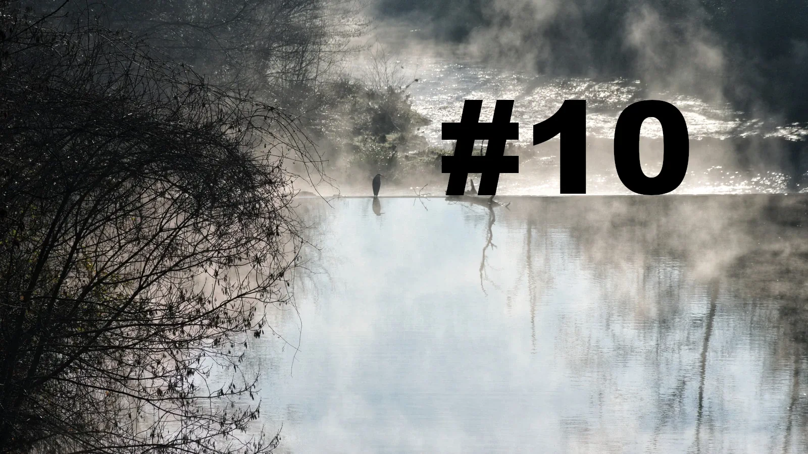 Chroniques du Gard #10 : le printemps, enfin !
