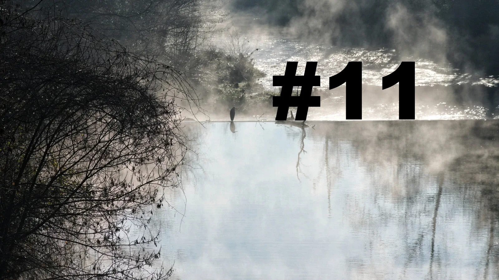 Chroniques du Gard #11