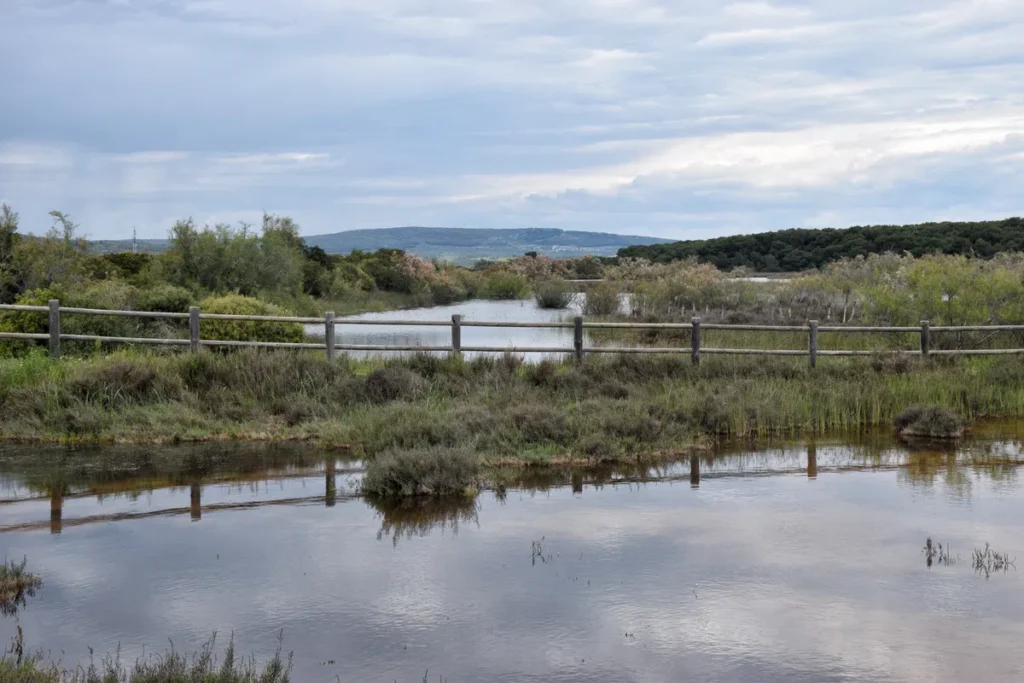 Photo d'une zone naturelle avec un plan d'eau au premier plan, entouré de végétation basse et de roseaux. Une clôture en bois traverse l'image, séparant le plan d'eau de la végétation environnante. À l'arrière-plan, des collines boisées s'étendent sous un ciel partiellement nuageux.