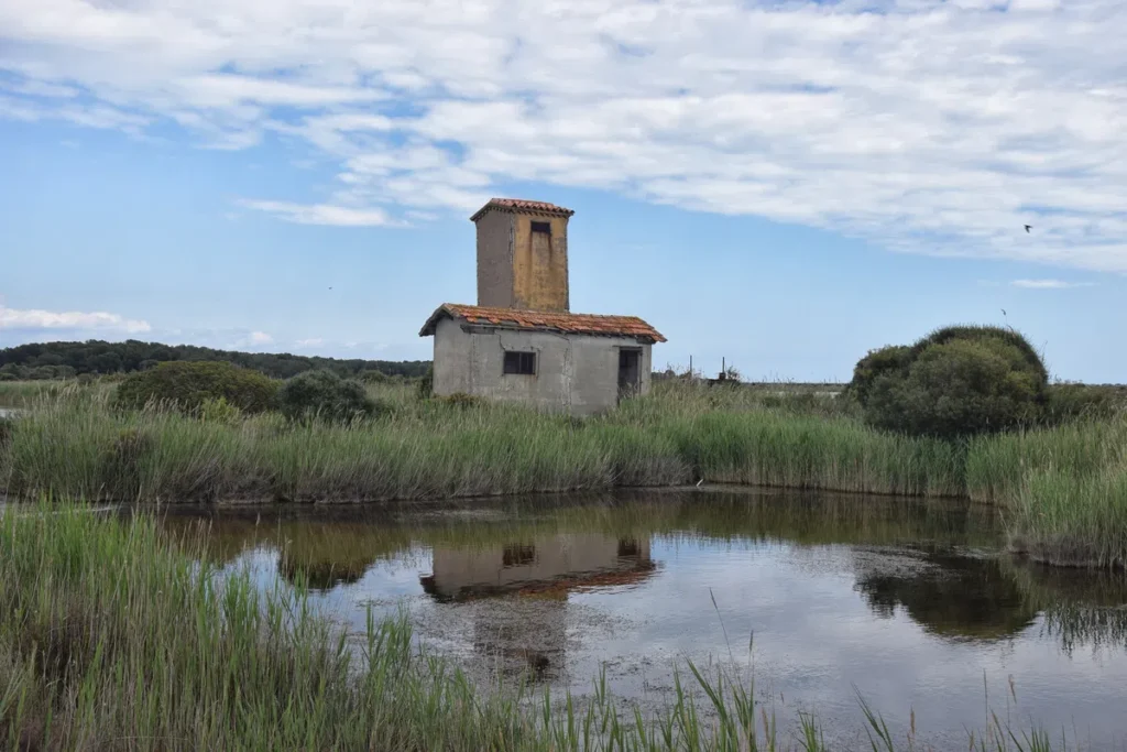 Photo d'un paysage de zone humide avec un petit bâtiment en pierre au centre. L'ouvrage, qui semble ancien, a un toit en tuiles rouges et une tour carrée. Il est entouré de roseaux et de végétation basse. Un plan d'eau calme reflète le bâtiment et le ciel partiellement nuageux. À l'arrière-plan, une ligne d'arbres et de buissons s'étend sous un ciel bleu avec des nuages épars.
