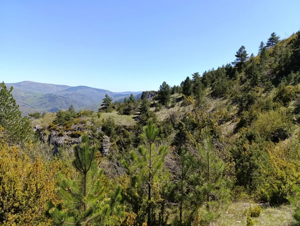 Un paysage de montagne sous un ciel bleu clair. Au premier plan, il y a une végétation variée avec des arbres, des arbustes et des buissons. À l'arrière-plan, des collines et des montagnes s'étendent à l'horizon, offrant une vue dégagée sur le relief naturel.