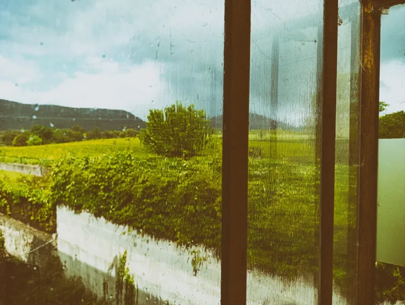 Vue d’une campagne verdoyante à travers une vitre partiellement couverte de gouttes de pluie et de traces verticales, avec des arbres, une haie dense, un mur blanc en béton et des collines sombres à l’arrière-plan sous un ciel nuageux.