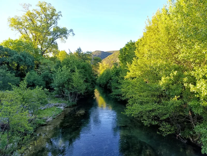 Un petit fleuve circule paisiblement entre ses rives arborées. Les feuilles des arbres sont bien vertes et le ciel, au-dessus, bien bleu.