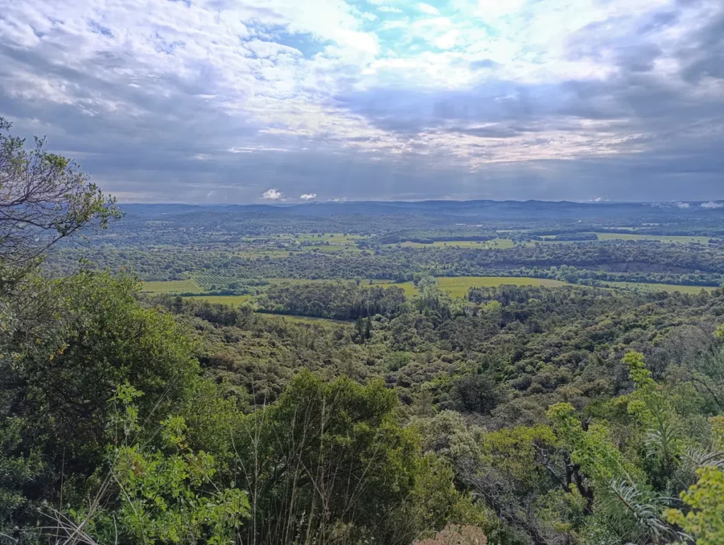 Vue panoramique sur une vaste étendue de forêts, champs et prairies sous un ciel nuageux traversé par des rayons de soleil, prise depuis un point en hauteur avec des branches et feuillages visibles au premier plan.