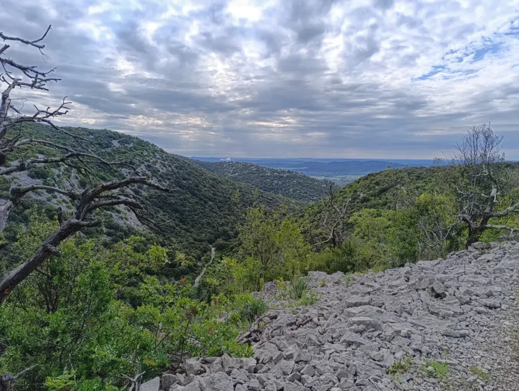 Photo d'un paysage de collines boisées sous un ciel nuageux. Au premier plan, il y a des rochers et des arbustes, avec des branches d'arbres dénudées visibles. Les collines s'étendent à l'horizon, couvertes de végétation dense, sous un ciel chargé de nuages avec des rayons de lumière filtrant à travers.
