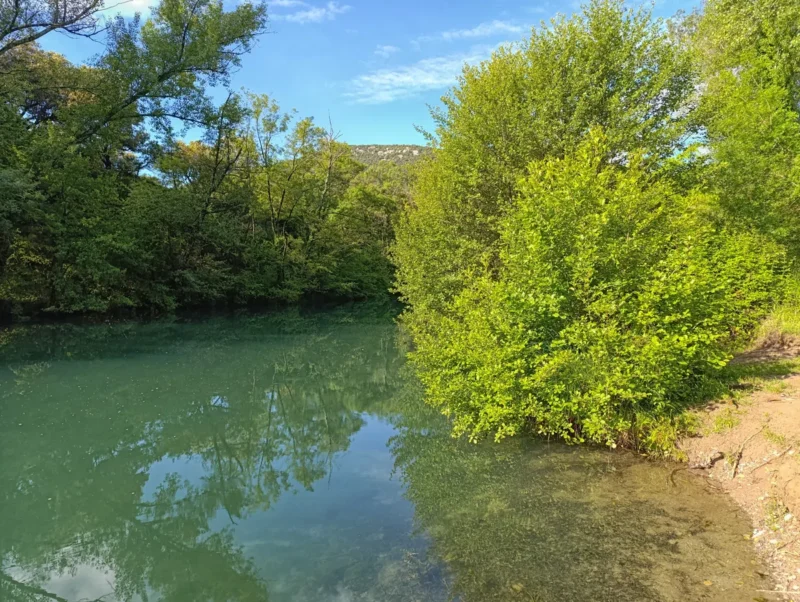 Photo d'un petit fleuve côtier. Sur ces rives, une végétation bien verte. L'eau elle-même a une teinte verdâtre et au-dessus, le ciel est bleu avec quelques légères touches de nuages blancs.