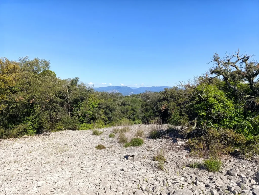 Vue d’un paysage rocheux en premier plan, avec une végétation dense en arrière-plan. Des arbres (feuillus) bordent la scène. À l’horizon, on distingue une chaîne de montagnes sous un ciel bleu sans nuages.