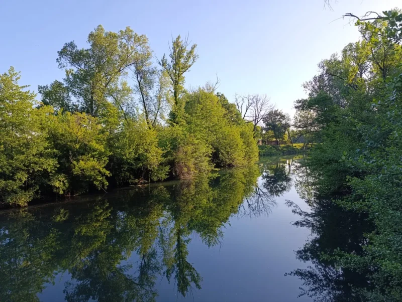Photographie d’un cours d’eau calme bordé de végétation dense. Sur les deux rives, on observe des arbres feuillus aux feuilles vertes, certains partiellement dénudés. L’eau, immobile, reflète clairement les arbres et le ciel. À l’arrière-plan, on distingue un espace dégagé avec quelques bungalows de bois visibles à travers les arbres. Le ciel est dégagé, d’un bleu clair uniforme.