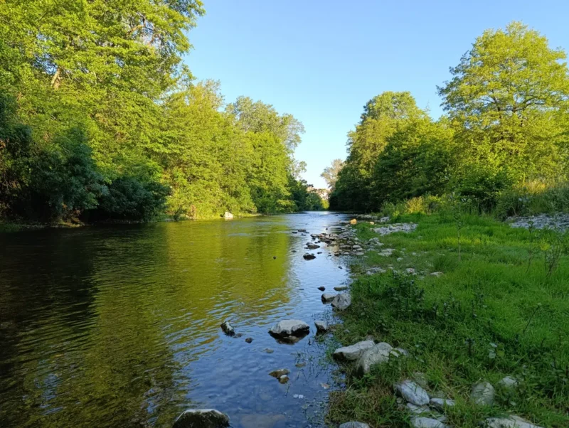 Vue d’un petit fleuve peu profond bordé de végétation dense. À gauche, la rive est couverte d’arbres. À droite, une berge herbeuse avec des pierres mène à la rivière. Le ciel est dégagé.