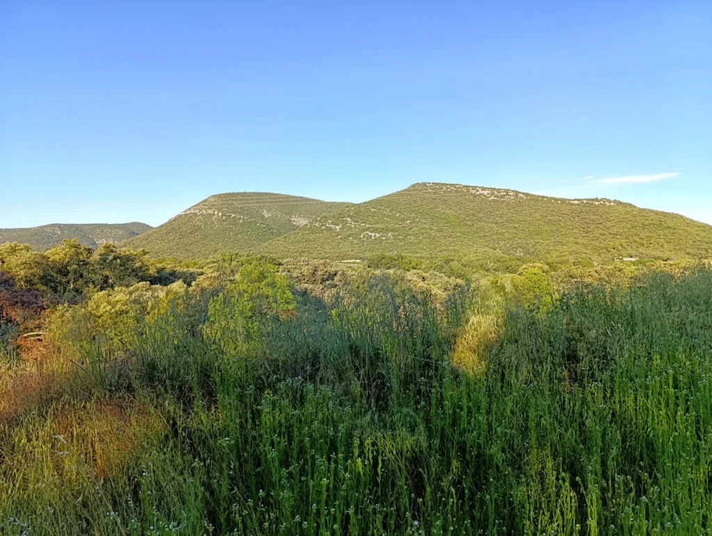 Un petit massif karstique sous un ciel bleu. Au premier plan, des herbes bien hautes sur un petit talus.