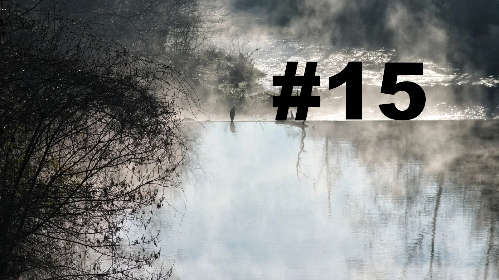 Chroniques du Gard #15