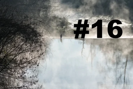 Chroniques du Gard #16
