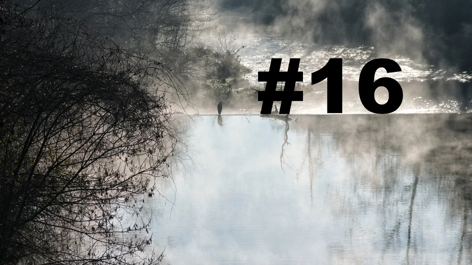 Chroniques du Gard #16