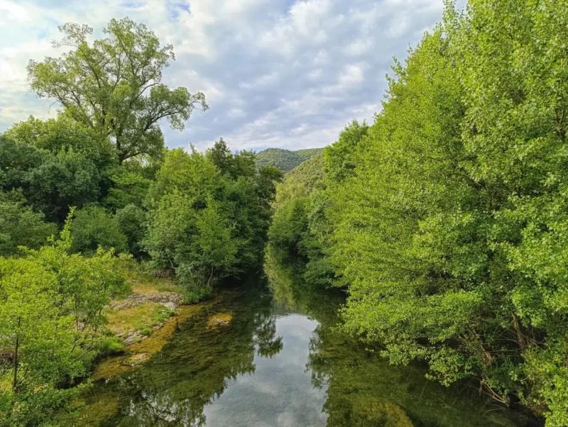 Sous un ciel couvert, un fleuve à l'eau paisible coule entre ses rives arborées. L'eau, peu profonde, reflète ciel et végétation.