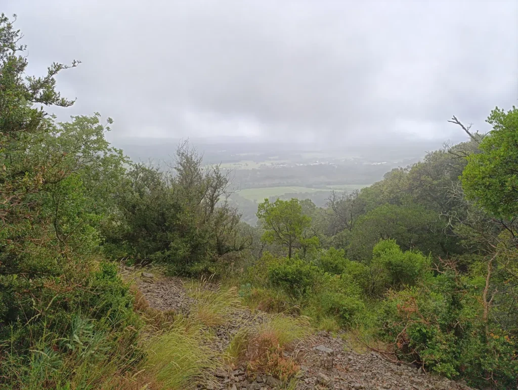 Photo. Vue d'un petit ravin pierreux en pente, entouré de végétation dense, avec, au centre, un paysage brumeux à l’horizon partiellement caché par les nuages.