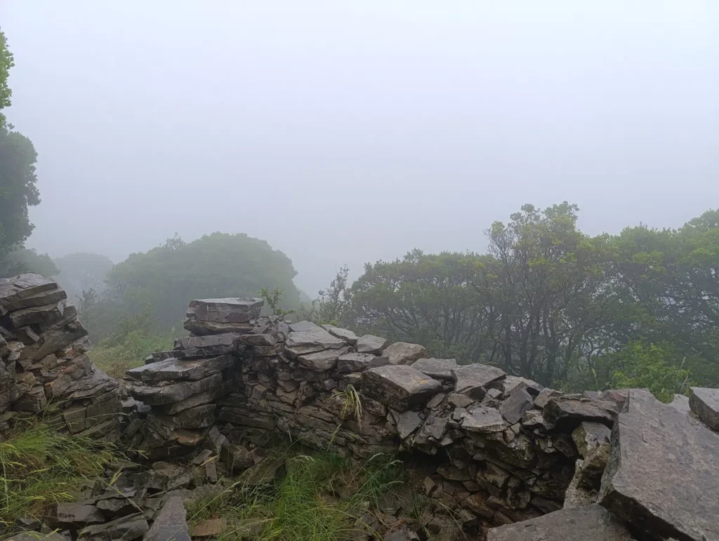 Mazet en ruine dont il ne reste que quelques pierres sèches partiellement effondré, situé sur une hauteur, avec des arbres et de la brume épaisse en arrière-plan.