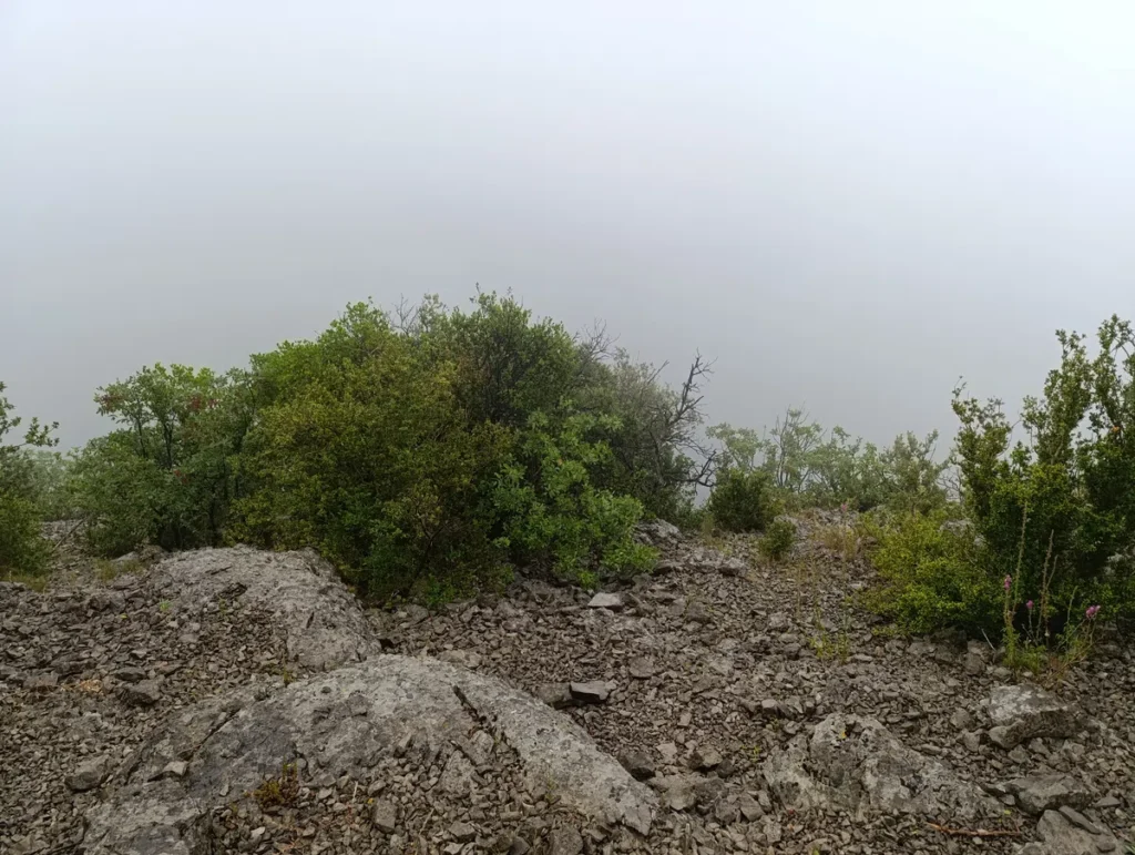 Photo. Au premier plan, une zone caillouteuse et rocheuse avec quelques arbres, puis une vue totalement masquée par la brume.