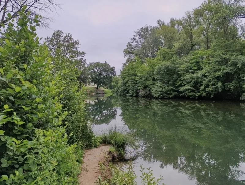 Photo depuis la rive d'un petit fleuve bordé de végétation dense, avec des arbres feuillus se reflétant dans l’eau calme sous un ciel couvert.