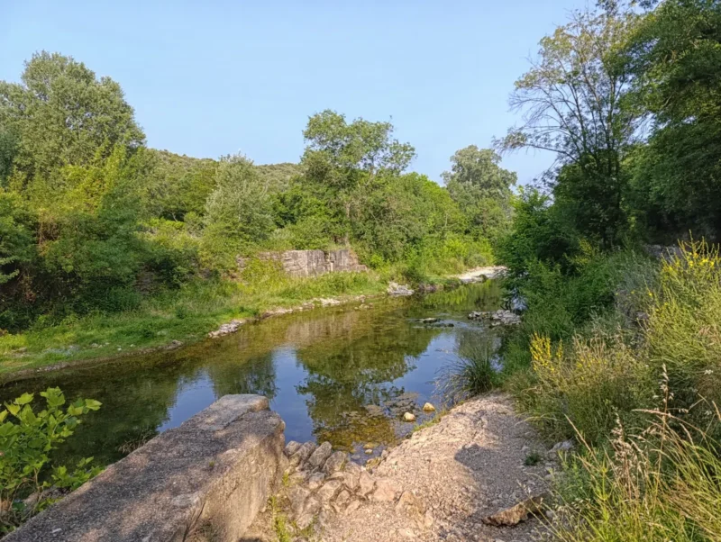 Un petit fleuve entouré de végétation dense. Le ruisseau, aux eaux claires, serpente à travers un paysage composé d'arbres, d'arbustes et de plantes sauvages. Le ciel est dégagé et bleu. Au premier plan, on voit des rochers et des pierres qui bordent le cours d'eau