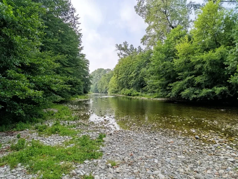 Photo d'une rivière peu profonde bordée de galets, entourée d'arbres de part et d'autre. Au-dessus, le ciel est partiellement nuageux.