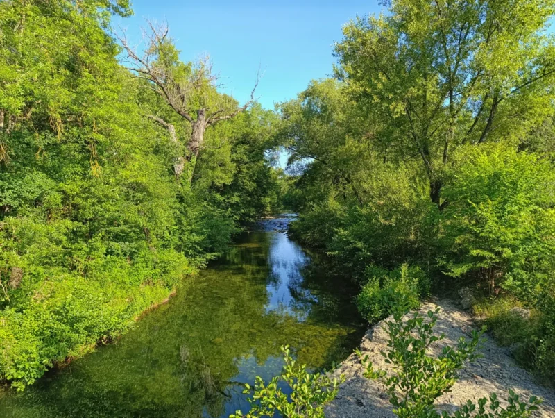Photo d'un petit fleuve entouré de végétation dense, avec des arbres verts de part et d’autre et un ciel bleu dégagé en arrière-plan.