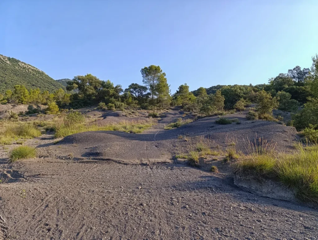 Terrain marneux parsemé d'herbes sèches et d'arbustes, en pente, avec quelques arbres en arrière-plan.