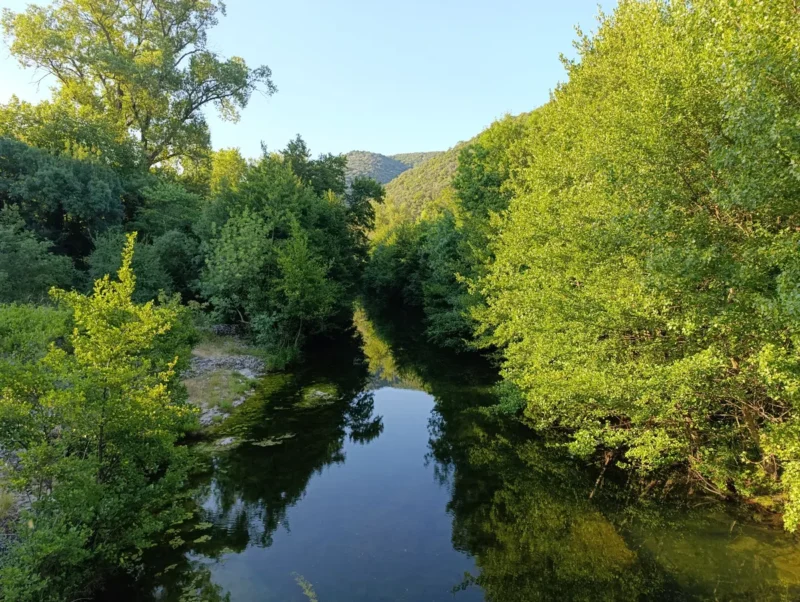 Photo d'un petit fleuve entouré d'une végétation dense et verdoyante. Le cours d'eau, aux eaux calmes et claires, serpente à travers un paysage boisé. Les arbres et les buissons bordent le cours d'eau. Le ciel est dégagé et la lumière matinale.