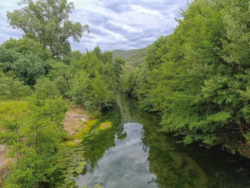 Photo d'un cours d'eau étroit bordé d’une végétation dense, avec des arbres feuillus de chaque côté et des collines en arrière-plan sous un ciel nuageux.