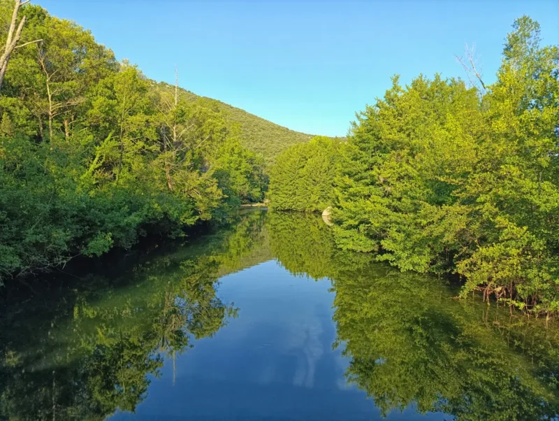 Photo d'un cours d'eau à l'eau calme entouré de végétation dense, avec des arbres feuillus reflétés dans l’eau et une colline verdoyante en arrière-plan sous un ciel dégagé dans la lumière du petit matin.