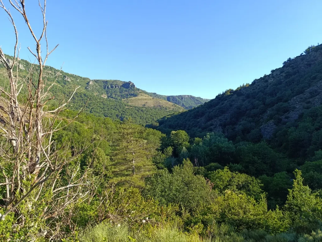 Photo d'une vallée boisée entourée de montagnes sous un ciel bleu clair. Sur la gauche, les branches nues d'un arbre. Au loin, quelques escarpements rocheux. Sur la droite, la montagne est peu éclairée.