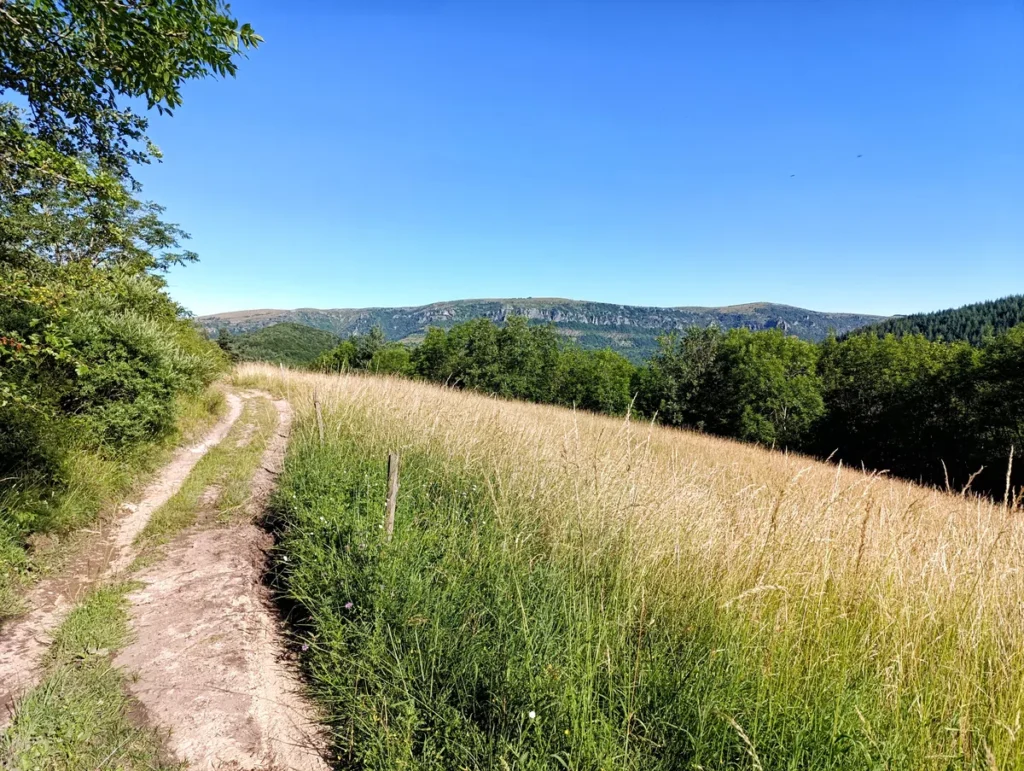 Photo d'un chemin de terre longeant une prairie, avec des montagnes boisées à l’horizon. Le ciel est bleu, sans l'ombre d'un nuage.