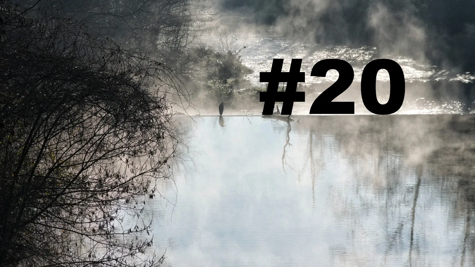 Chroniques du Gard #20