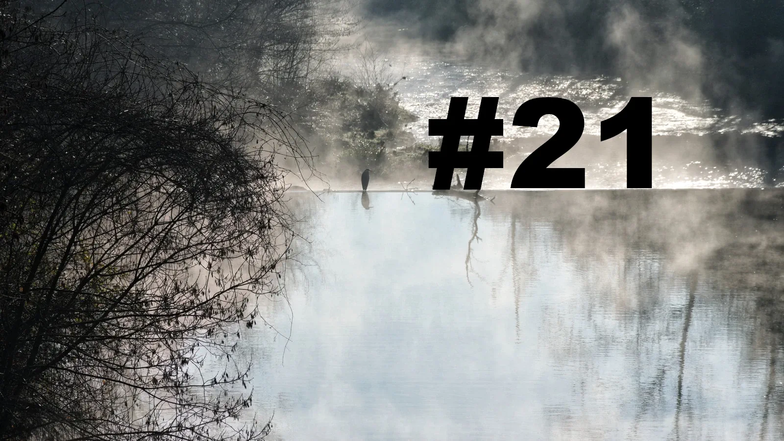 Chroniques du Gard #21