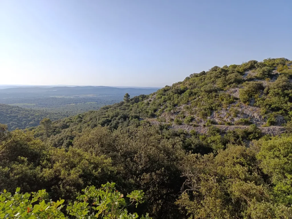 Photo prise en hauteur sur un paysage vallonné recouvert de forêt méditerranéenne, avec un sentier en pierre visible sur la pente d'une colline à droite. Le ciel est clair.