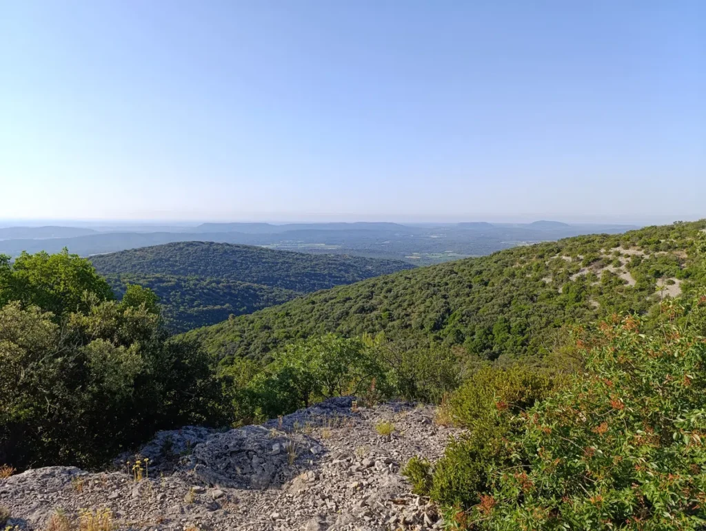 Photo d'un paysage de collines et de montagnes couvertes de végétation dense. Au premier plan, il y a des rochers et des buissons. Les collines s'étendent à perte de vue. Le ciel est clair et bleu.