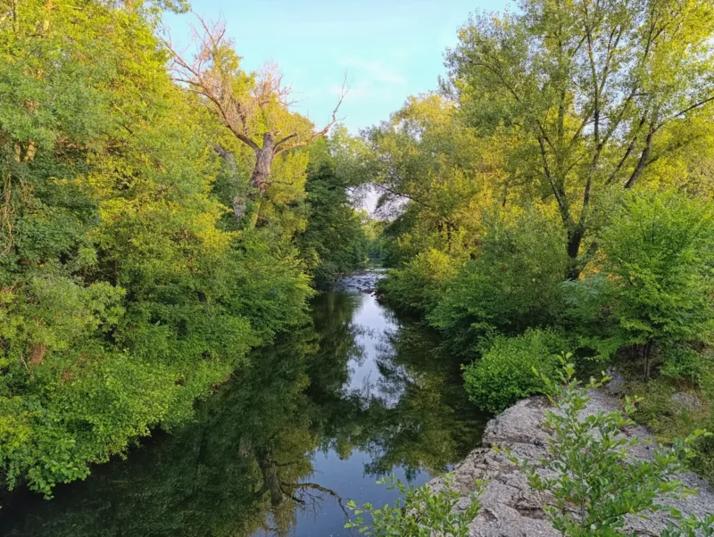 Photo d'un petit fleuve étroit bordé de végétation dense, avec des arbres feuillus de part et d'autre. Le reflet des arbres se dessine à la surface de l’eau. Au premier plan à droite, une dalle rocheuse. Le ciel est dégagé.