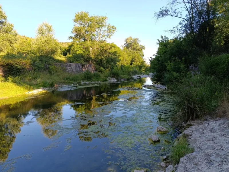 Photo dans la lumière du matin. Un petit fleuve à l'eau calme, partiellement recouvert de végétation aquatique. Les berges sont bordées d’arbres et de hautes herbes. À gauche, un muret de pierres est partiellement recouvert par la végétation. Le ciel est bleu, même si l'on discerne un léger voile blanc au loin.