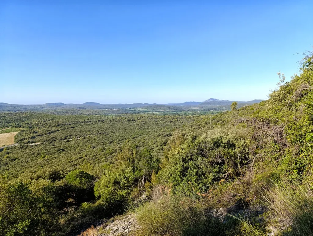 Photo depuis un sentier sur un versant rocailleux et boisé, avec un panorama sur la plaine. Au loin, sous un ciel bleu, on perçoit à peine le Pic Saint-Loup.
