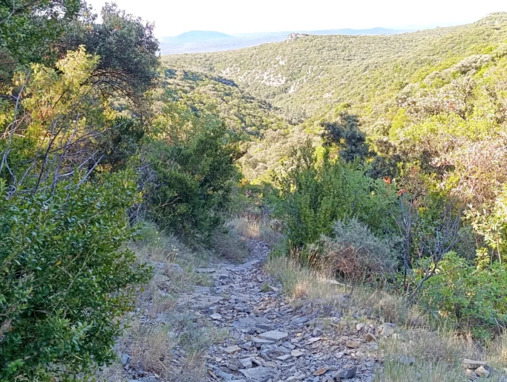 Photo depuis les hauteurs d'un ravin. Un sentier caillouteux descendant à travers une végétation dense de garrigue et de petits arbustes.