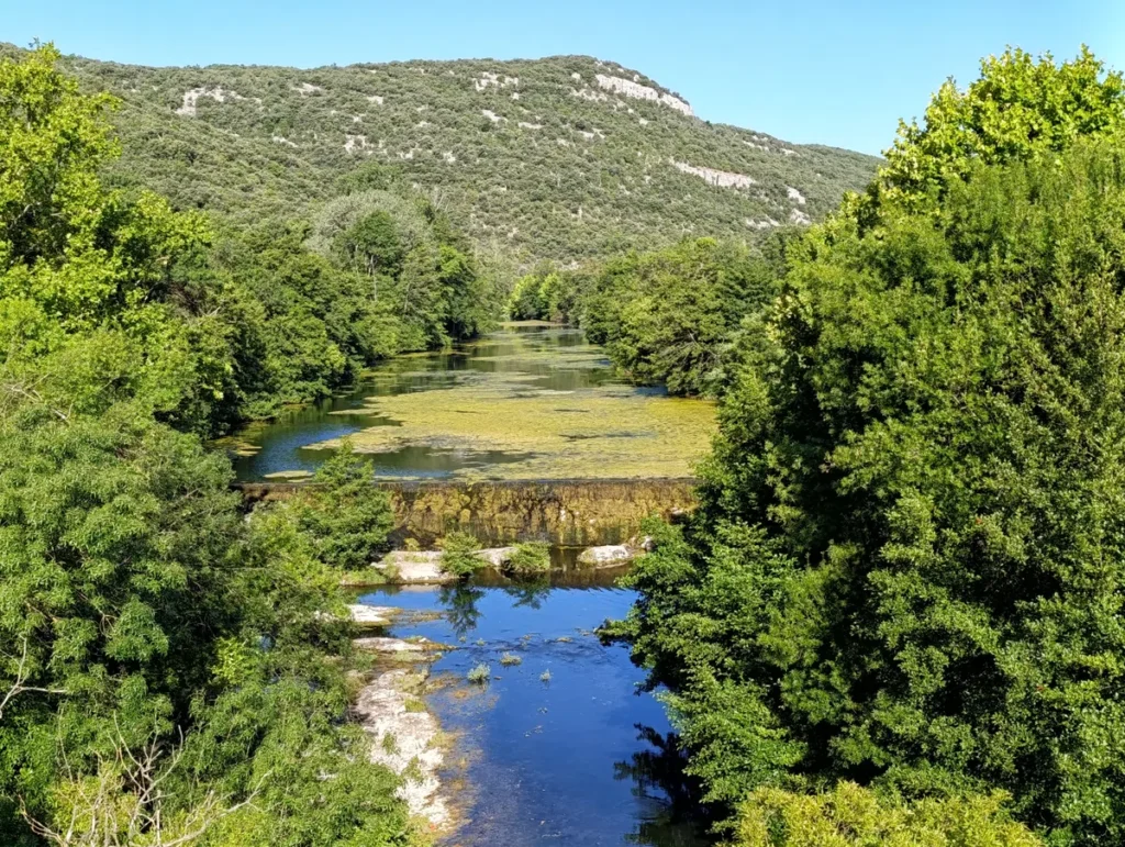 Photo d'une cascade artificielle sur un fleuve dont la surface est pour partie couverte d'algues. Au loin, un massif. Le tout sous un ciel bleu sans nuage.