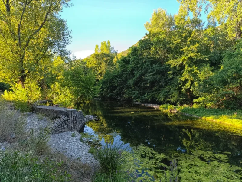 Photo d'un cours d'eau entouré de verdure avec un mur en pierre en ruine sur la gauche, sous un ciel bleu.