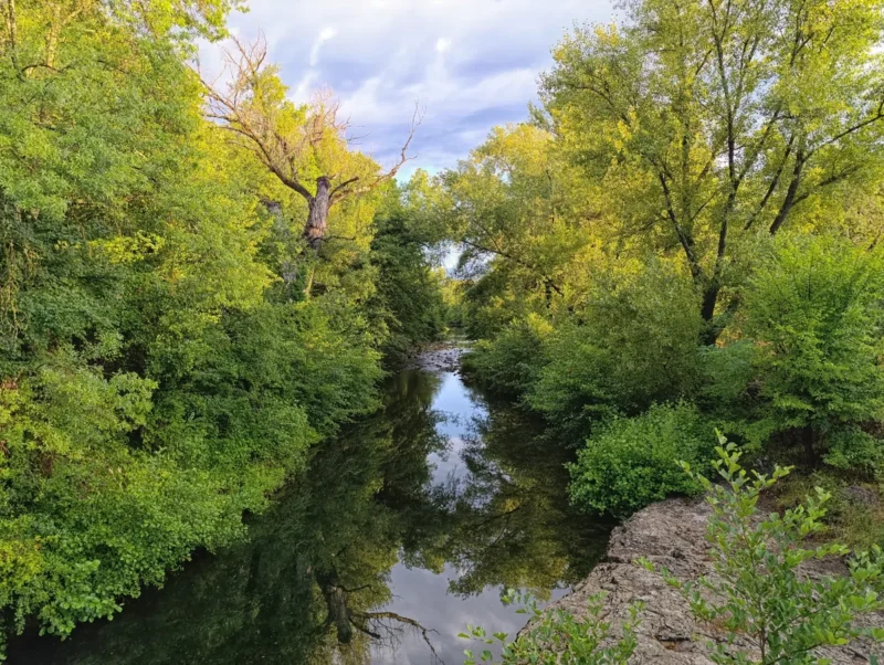 Photo d'un petit fleuve entouré de végétation dense, avec des arbres verts de part et d’autre sous un ciel couvert où pointe quelques tâches de bleu.