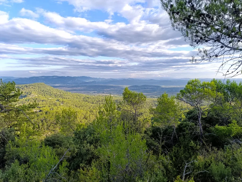 Photo d'une vue panoramique sur une vaste étendue boisée et vallonnée, prise depuis un sommet avec un ciel nuageux. Au loin, on perçoit les montagnes cévenoles.