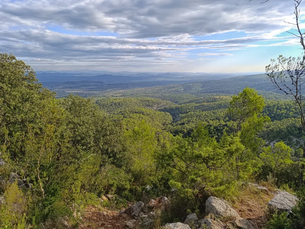 Photo d'une vue panoramique sur une vaste étendue boisée et vallonnée, prise depuis un sommet avec un ciel nuageux. Au premier plan, des arbres et des rochers.