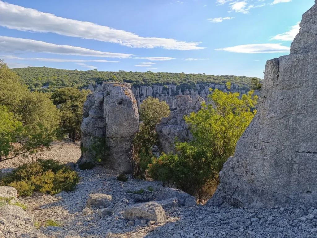 Photo d'un paysage rocheux avec des blocs calcaires massifs, des buissons et quelques arbres. En arrière-plan, une ligne de végétation dense au-dessus de falaises, sous un ciel dégagé parsemé de quelques nuages.
