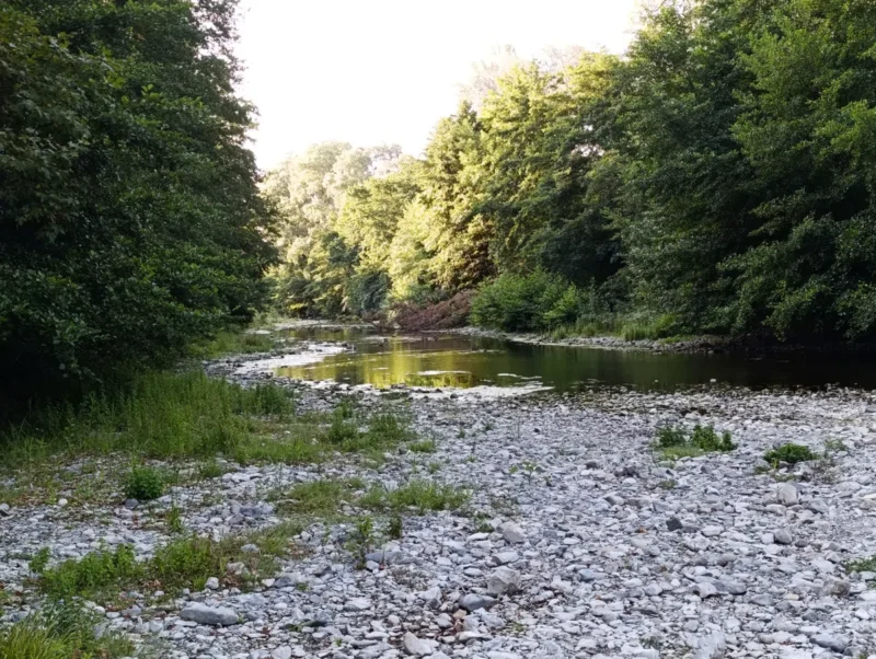 Photo avec forts contrastes. Un petit fleuve peu profond bordé de galets et aux rives arborées.